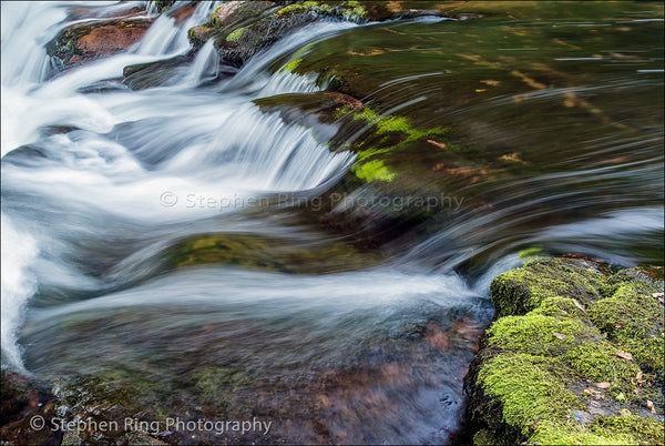 03554 - Watersmeet