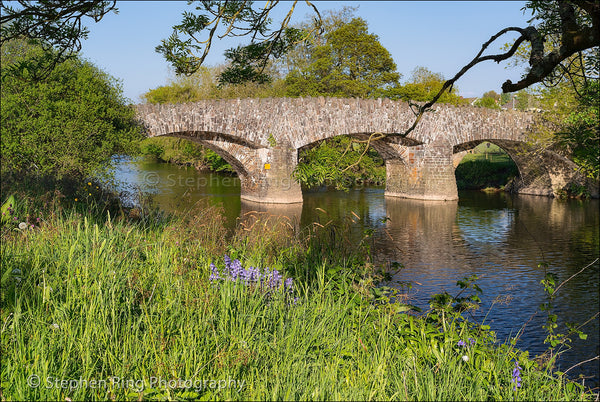 03606 -Torrington