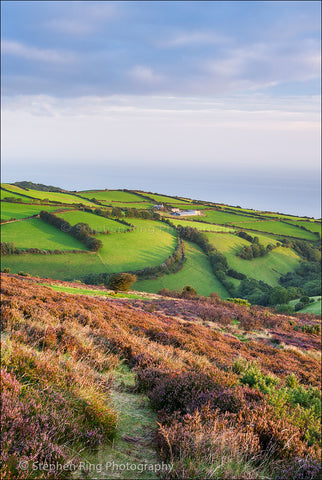 03614 - Exmoor