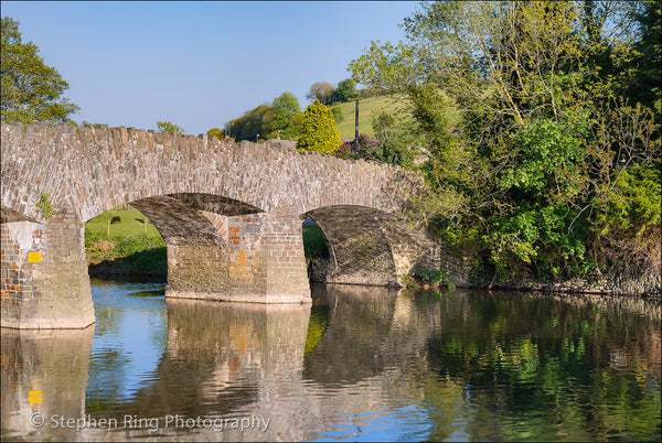 03700 -Torrington