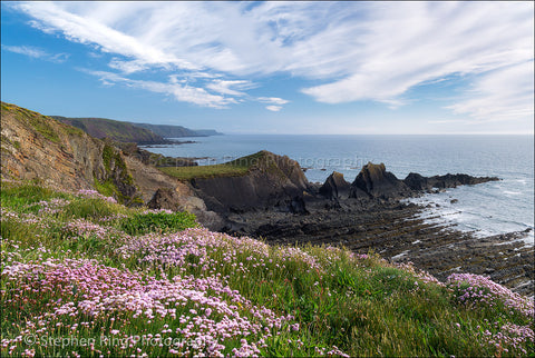 03706 - Hartland