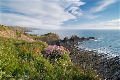 03707 - Hartland