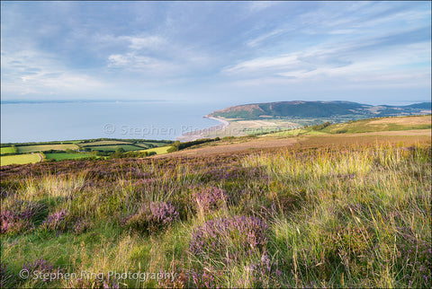 03805 - Exmoor