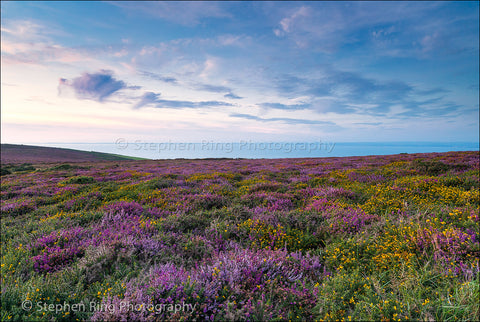 03806 - Exmoor