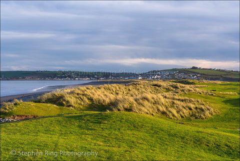03836 - Northam Burrows
