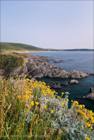 03851 - Woolacombe