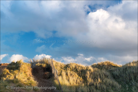 03864 - Northam Burrows