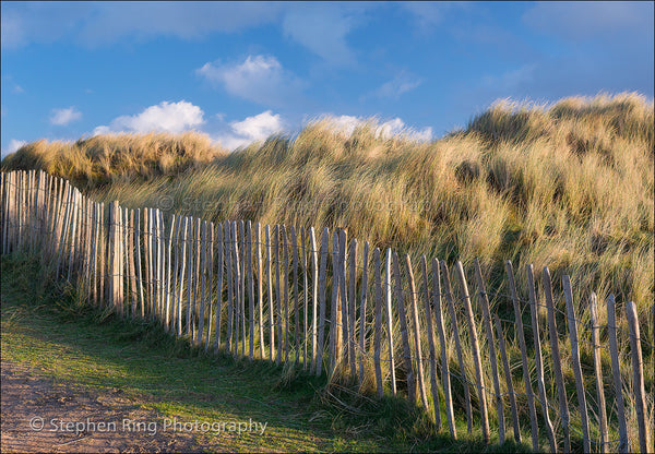 03870 - Northam Burrows