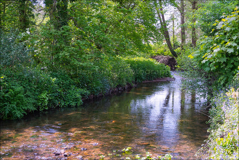 03890 - Exmoor