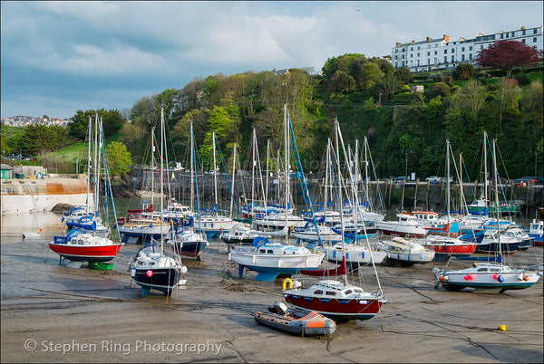 03901 - Ilfracombe