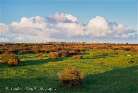 03907 - Northam Burrows