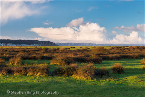 03908 - Northam Burrows