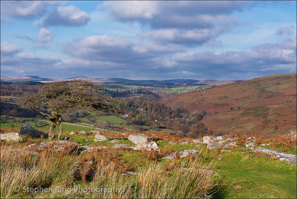 03941 - Dartmoor