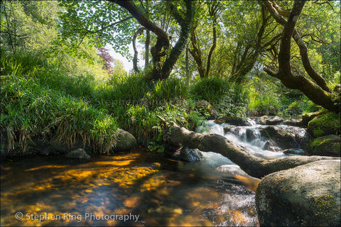 03963 - Dartmoor