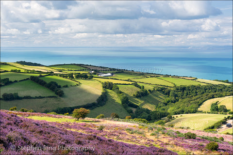 04027 - North Devon Canvas Prints