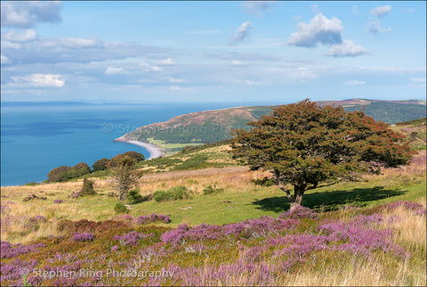 04028 - North Devon Canvas Prints