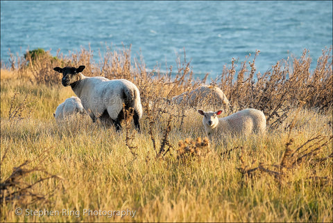 04044 - Hartland