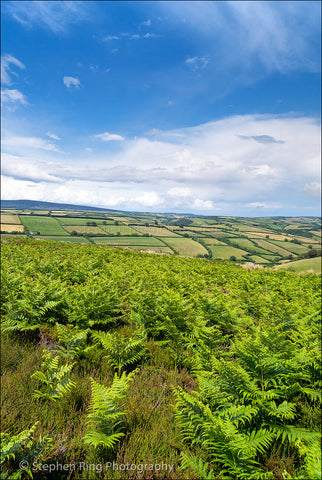 04060 - Exmoor