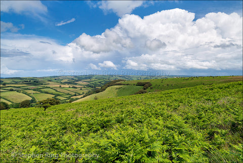 04061 - Exmoor