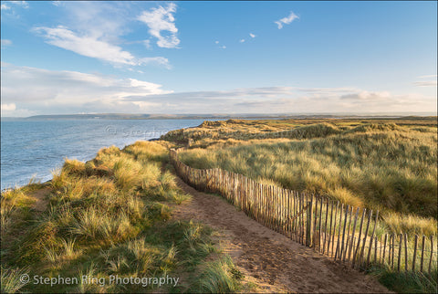 04101 - Northam Burrows