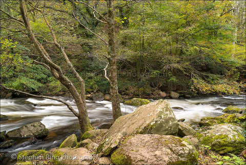 04117 - Exmoor