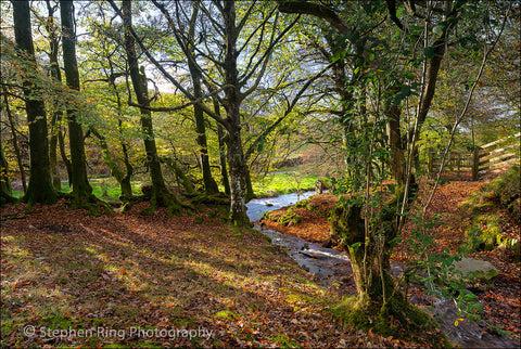 04119 - Exmoor