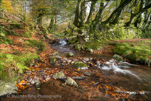 04121 - Exmoor