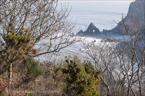 04272 - Mouth Mills