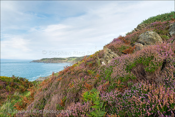 04315 - North Devon Canvas Prints