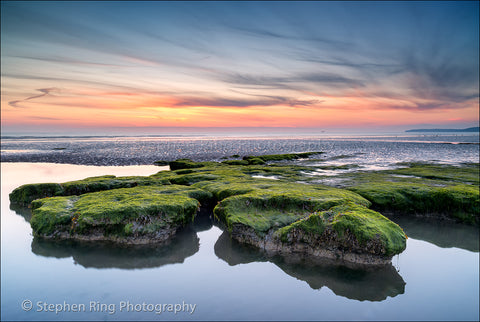 04427- North Devon Canvas Prints