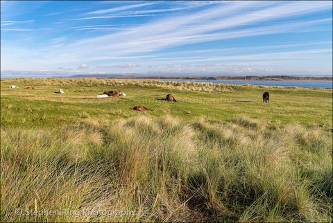 04442 - Northam Burrows