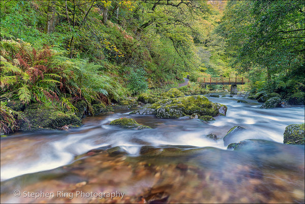 04456 - Exmoor
