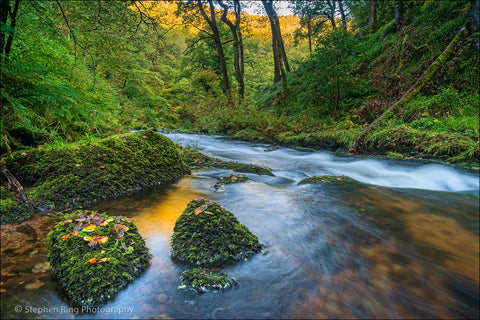 04457 - North Devon Canvas Prints