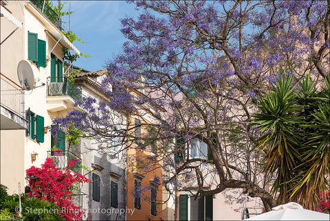 04523 - Corfu