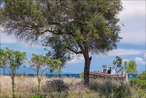 04526 - Corfu