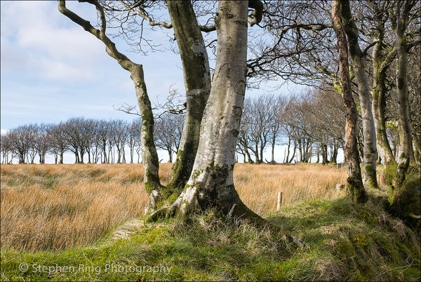 04736-Landscapes