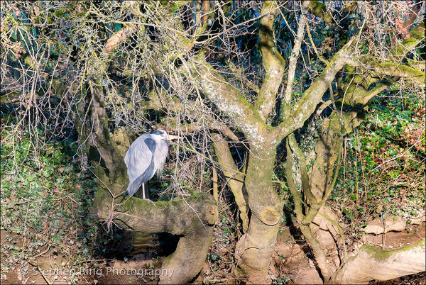 05117 - Bradford on Avon