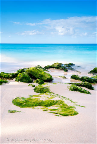 05137 - Barbados