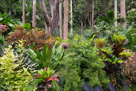 05170 - Barbados