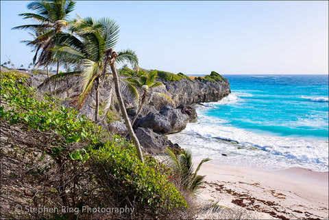 05182 - Barbados