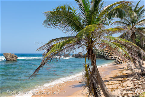 05183 - Barbados