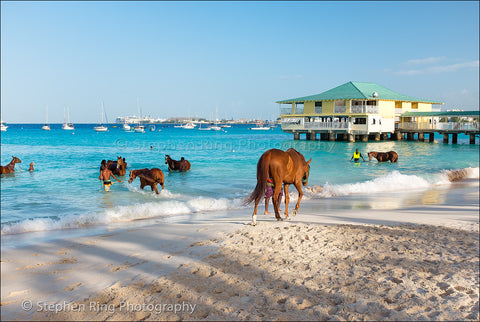 05195 - Barbados