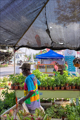 05204 - Barbados