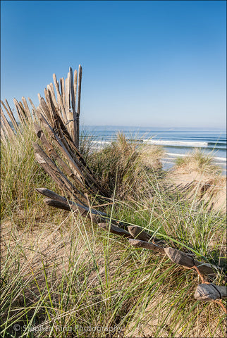 00532 - Northam Burrows
