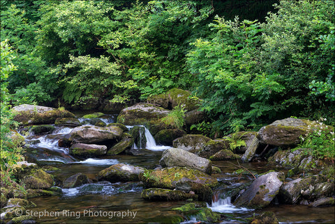 05334 - Watersmeet