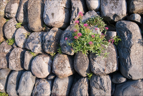 05370 - Clovelly