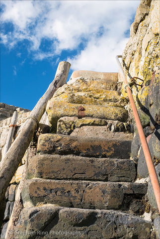 05422- Clovelly