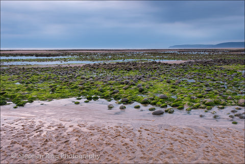 05484 - Northam Burrows