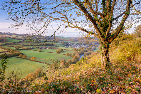 05523 - North Devon Canvas Prints