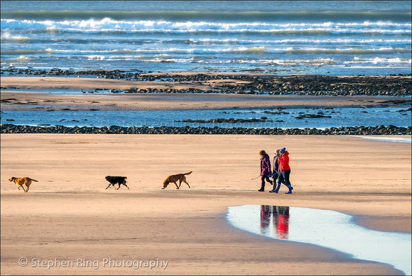 05540 - Northam Burrows